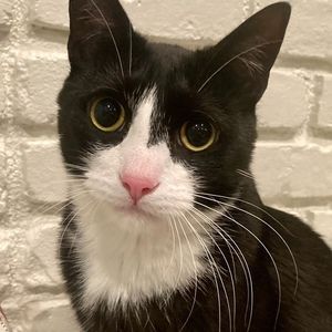 Meet your Posher, Amy